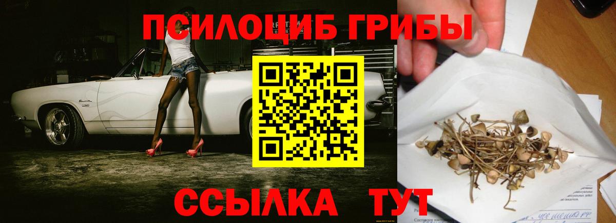 Галлюциногенные грибы Magic Shrooms  Псилоцибиновые грибы Psilocybe  Вход с VPN  Саратов 